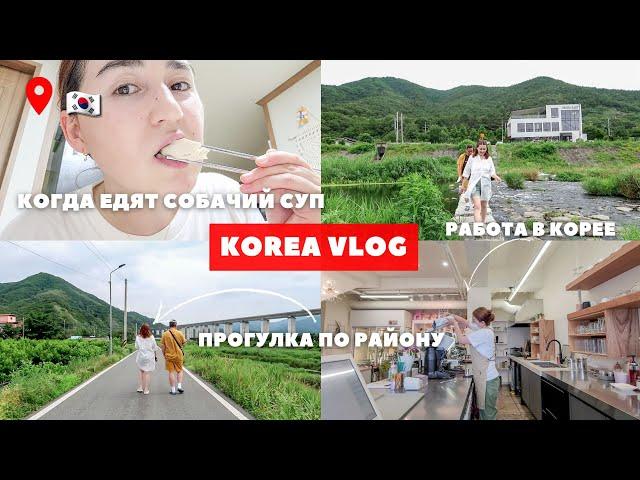 Прогулка по району /Гости требуют кофе бесплатно/ Когда едят собачий суп в Корее? | korea vlog