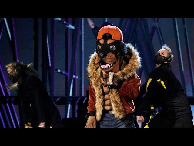 The Masked Singer ~ S2 ~ Rottweiler