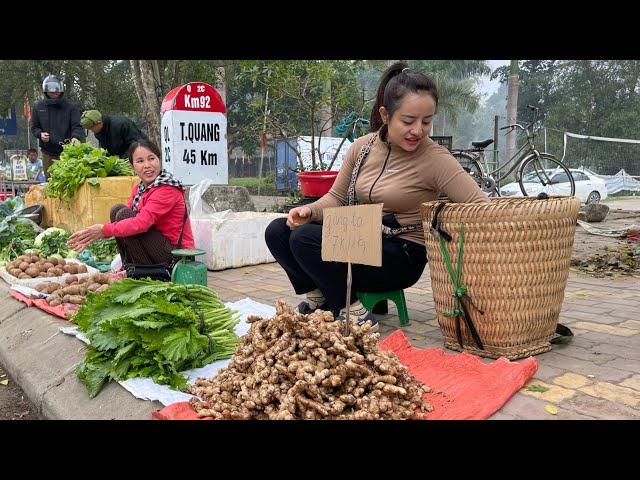 Harvest vegetables and ginger root to go to the market to sell. grow flowers on the farm