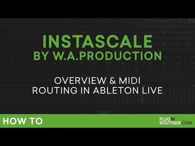 W.A. Production InstaScale First Look | MIDI Routing in Ableton Live Tutorial