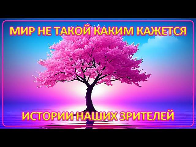 070 Мир не такой каким кажется | Новые истории наших зрителей