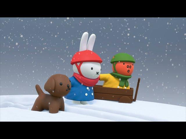 Miffy goes sledding! ️ | Miffy | Cartoons for kids