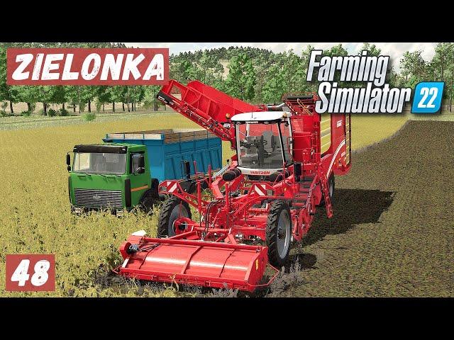 FS 22 - ZIELONKA.  Убираю КАРТОФЕЛЬ и ОВЁС # 48