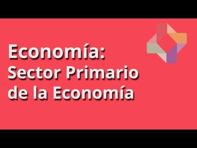 Sector Primario de la Economía