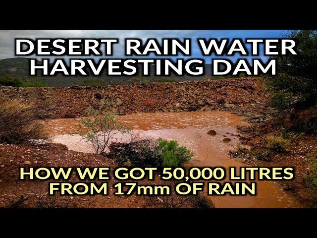 The First Rainwater - New Desert Homestead Catchment