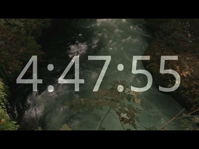 5 Hours Timer || Forest Birds Chirping || 2 Minute Bird Song Alarm