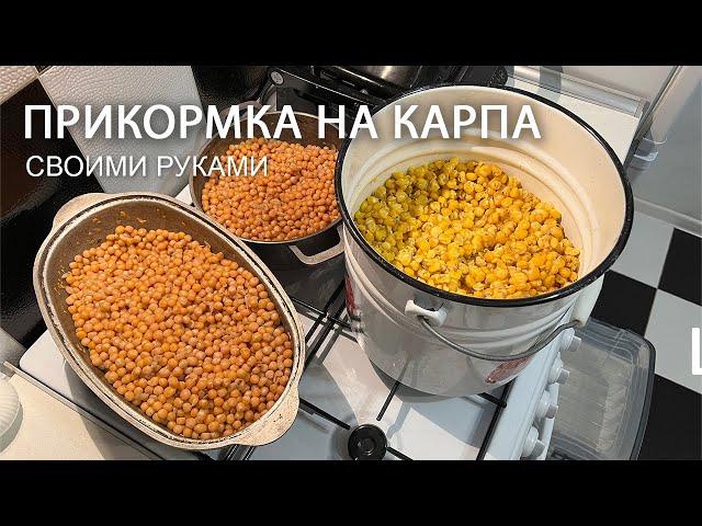 Прикормка на карпа и ловля карпа на кукурузу