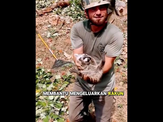 Tidak sengaja bertemu dan akhirnya pria ini menjadi ayah yang baik bagi si rakun️