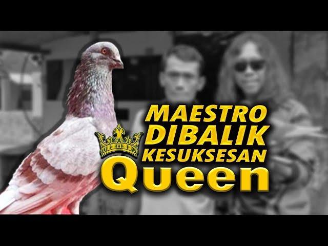 SEJARAH DIBALIK KEHEBATAN QUEEN ASUHAN SANG MAESTRO PEKALONGAN MAS DOK #merpatikolong