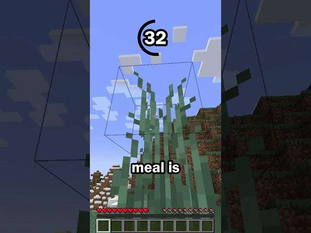 Guess the Minecraft block in 60 seconds 46