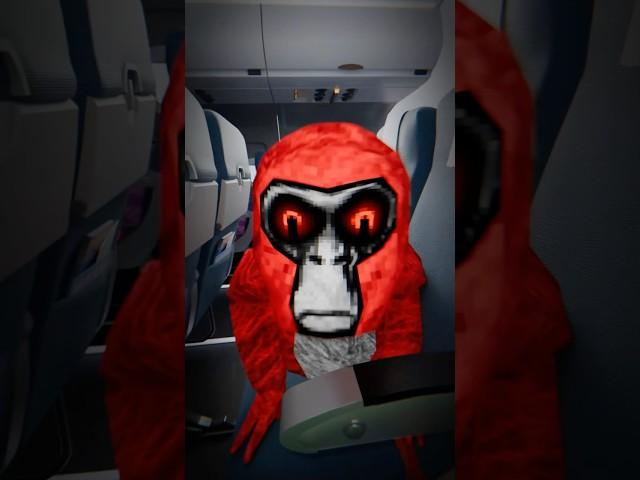 ️ Ghost Found On Plane… #gorillatag