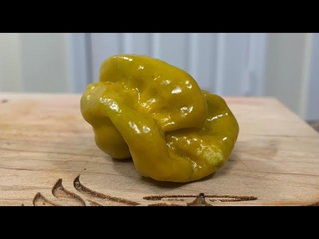 A Mustard Habanero from Jimmy Pickles! A NEW pod for me! Very interested in what this pod is like!