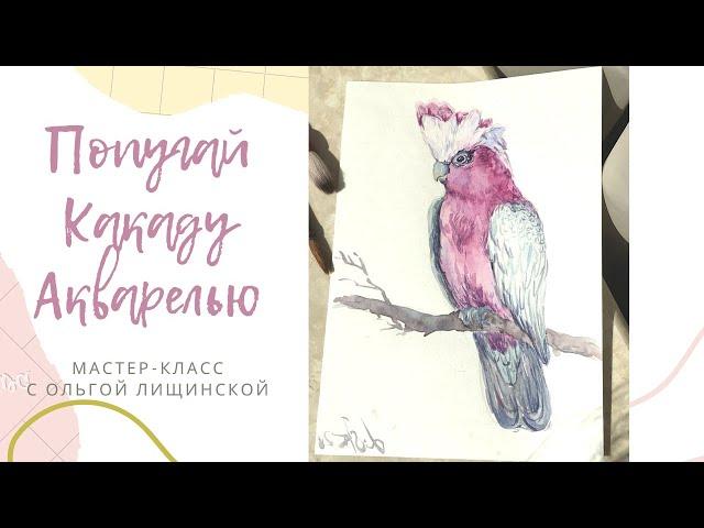 ПОПУГАЙ КАКАДУ АКВАРЕЛЬЮ| урок по акварели | Watercolor parrot