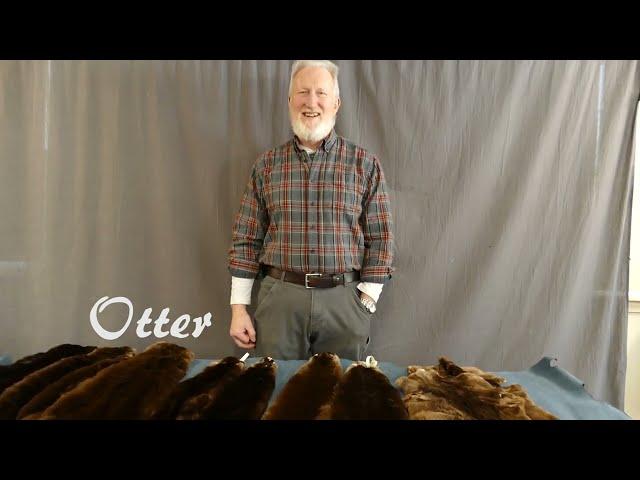 Otter-Pelt Characteristics and Uses