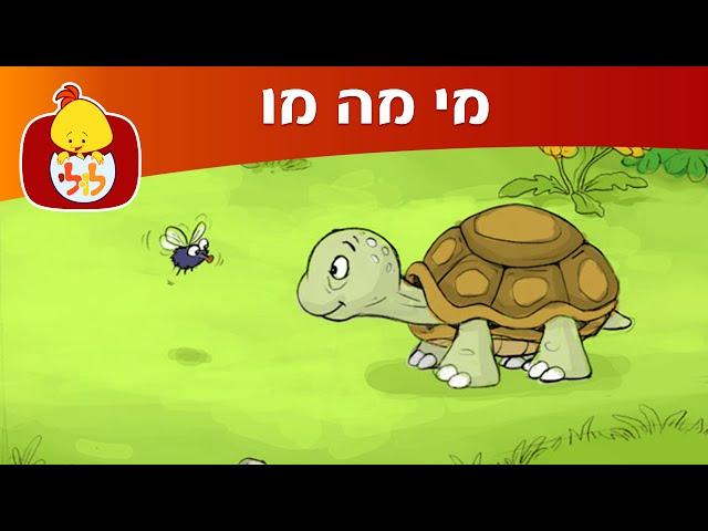 לולי מכיר חיות-מי מה מו: צב - ערוץ לולי