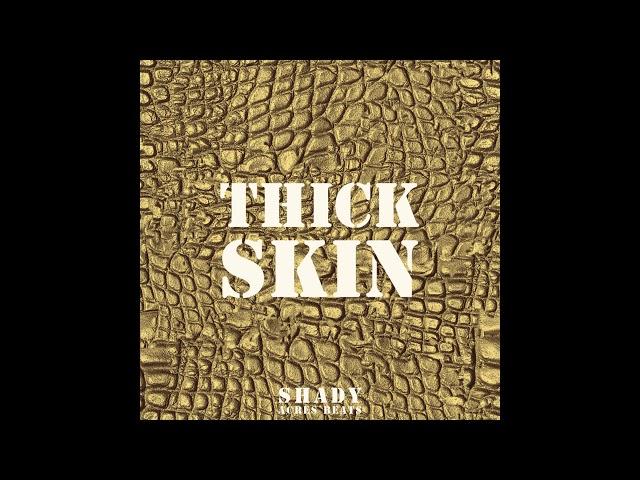 KID CUDI TYPE BEAT - Thick Skin - SHADY ACRES BEATS