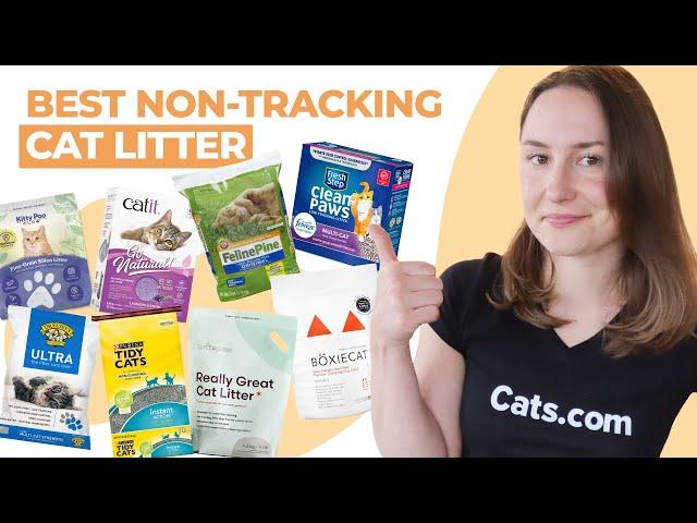 The Best Non-Tracking Cat Litter (We Tested Them All!)