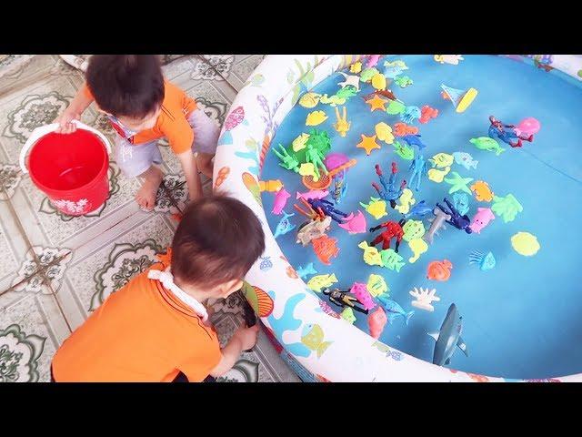 Đồ Chơi Trẻ Em Baby Fun ️ Trò Chơi Bắt Cá Thả Hồ Bơi và Làm Món Bánh Cá ️ Gia Đình Baby Shark