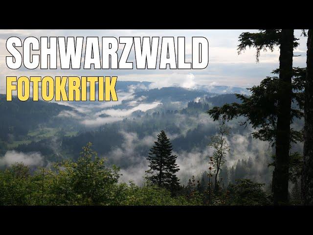 Fotokritik - Bilder aus dem Schwarzwald von BARBARA