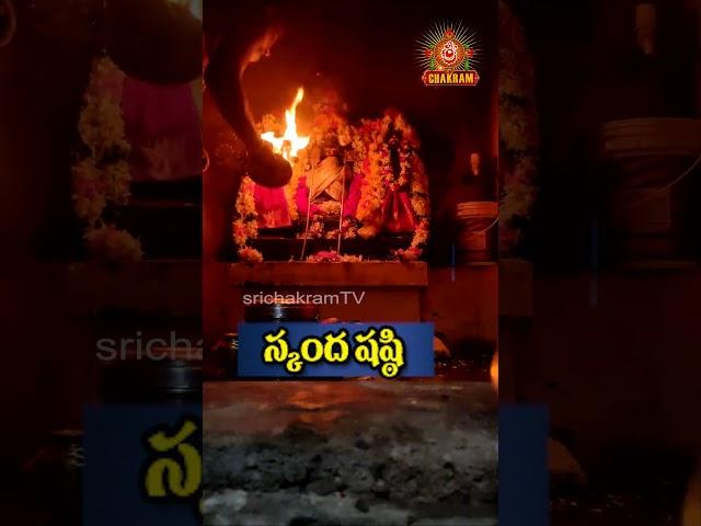 సుబ్రమణ్య షష్టి మంగళ హారతి #sasti #subramanya #murugan #palani #skanda #shorts #palanimalaimurugan