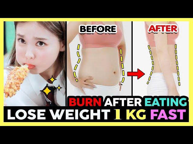 BURN FAT AFTER EATING | EASY FULL-BODY WORKOUT TO LOSE WEIGHT 1KG FAST (No jumping, No Equipment)