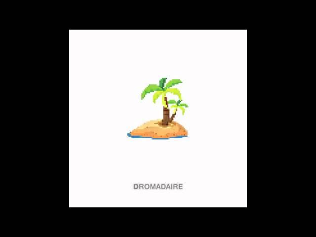 BAVOOG AVERS - DROMADAIRE