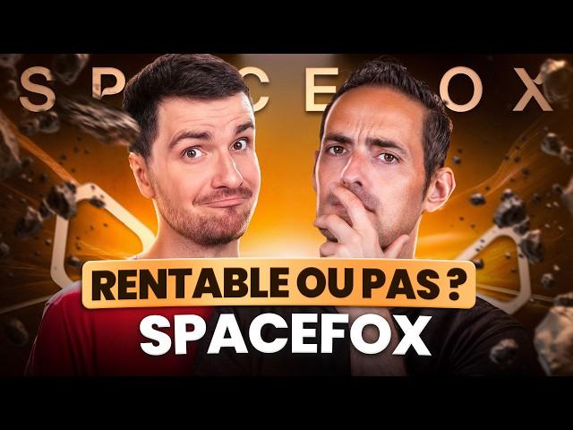 Rentable ou pas ? | Vendre des météorites sur internet comme Spacefox (Amixem)