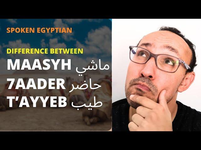 Essential Egyptian Conversation Words for Beginners: Difference between Maashy, 7aader and Tayyeb