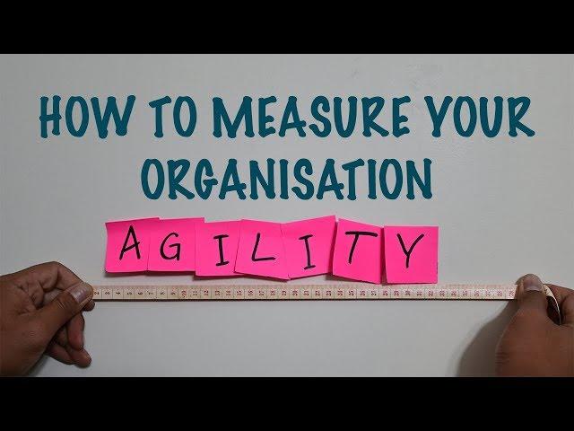 How To Measure Your Organisation Agility | Agile Metrics For Improving Organisation Agility