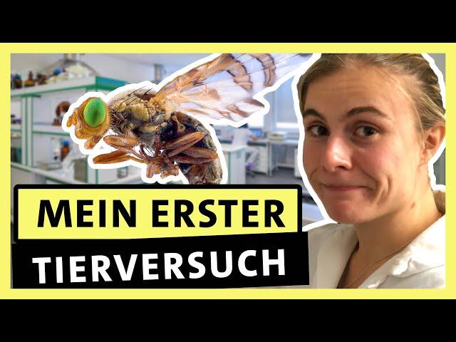 Biologie studieren: So ist es wirklich – Zwischen Vorlesung und Mikroskop | alpha Uni