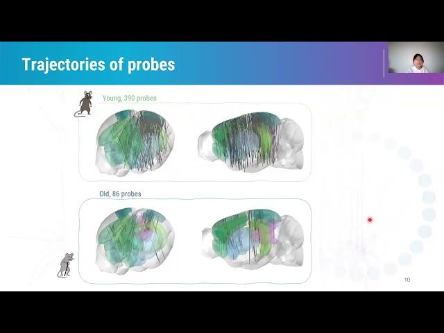 2024 3.4.4 The IBL brainwide map: effect of age (Zang)