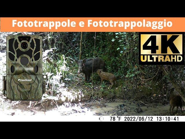 Fototrappola UsoGood TC80, prima di acquistarla devi assolutamente vedere questa recensione completa