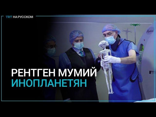 Что показал рентген предполагаемых «инопланетных» существ?