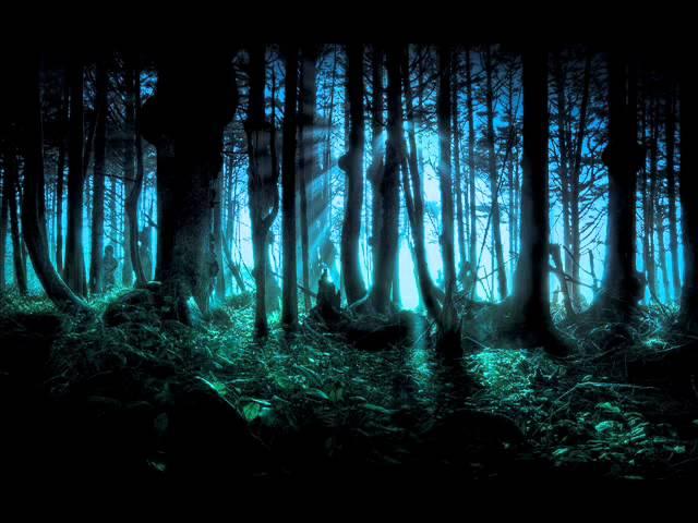 Frederic Chopin - Mysterious Forest