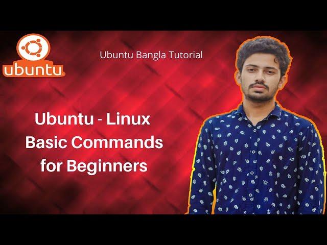 2. Linux (Ubuntu) Basic Commands for Beginners || Ubuntu Bangla Tutorial || Study Mart