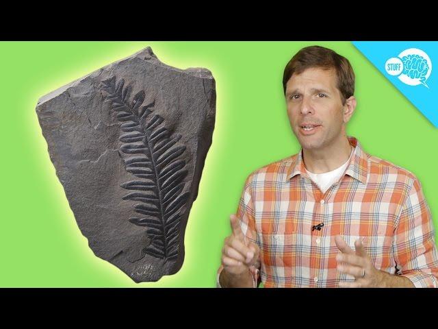 How Carbon Dating Works