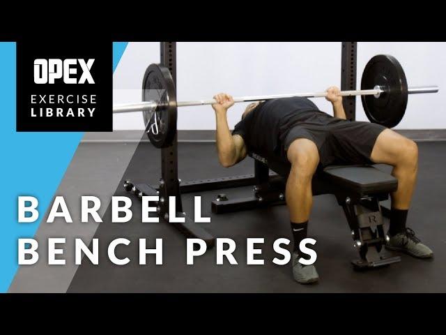 Barbell Bench Press - OPEX Exercise Library