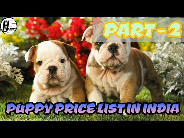 Dog Price List in INDIA | PART - 2 | PRICE LIST | HINGLISH FACTS