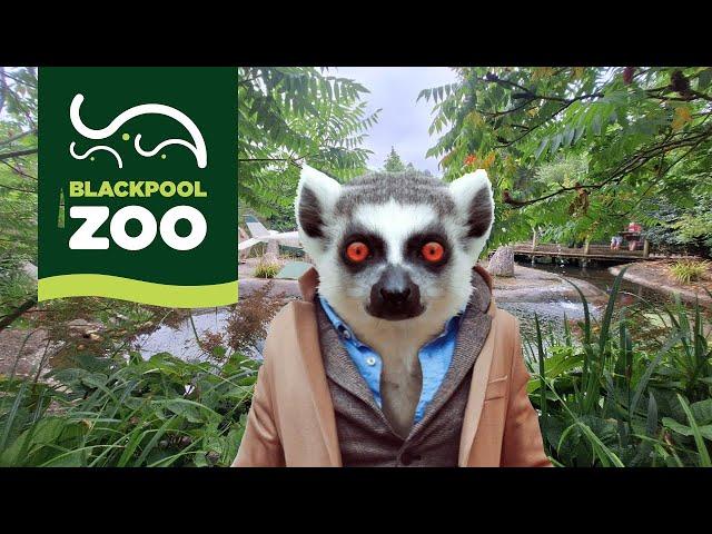 i visit Blackpool Zoo One of the UK's top animal parks in 2024