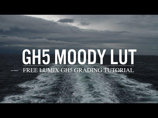 Panasonic GH5: Moody LUT Color Grading Tutorial (Lumix GH5)