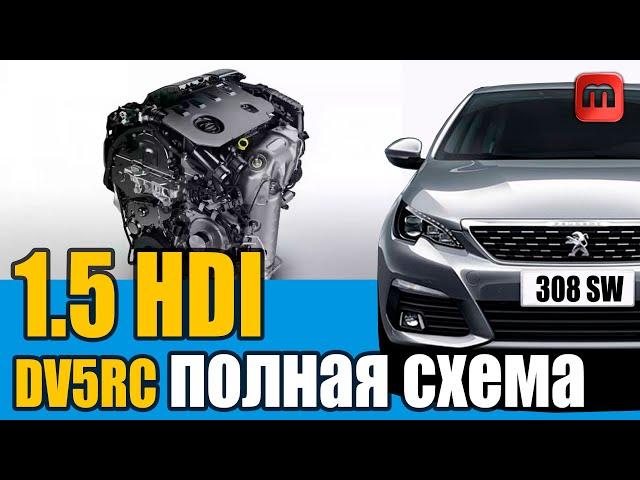 1.5 HDI/ полная разборка двигателя.