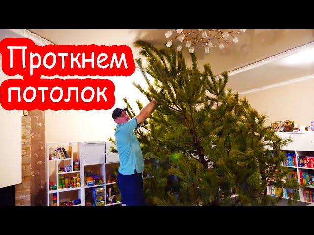 VLOG Ёлка не влезла домой. Продавцы обманули