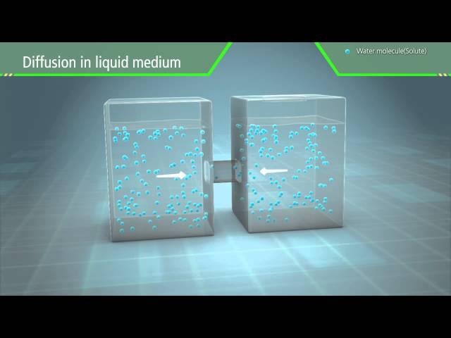3D Scientific Animation - Diffusion and Osmosis