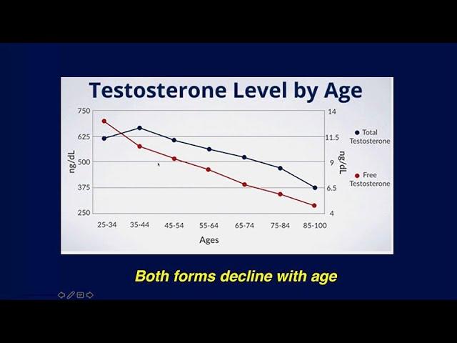 What is the Low T Syndrome? Is Testosterone Supplementation Safe?