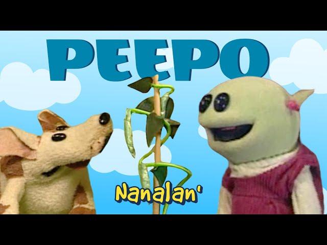 PEA POD - nanalan' short #32 - PEEPO meme original