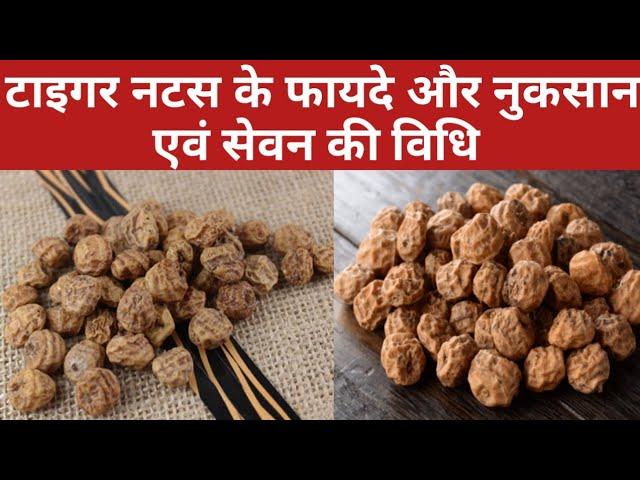 टाइगर नट्स के फायदे और नुकसान एवं सेवन की विधि | Tiger Nuts Benefits and Side Effects in Hindi...