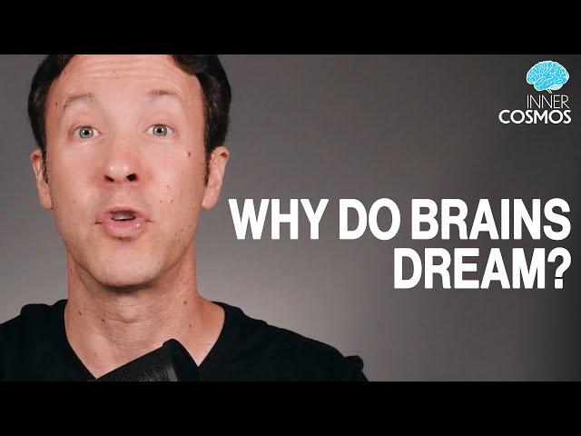 Ep 51: Why do brains dream? | INNER COSMOS WITH DAVID EAGLEMAN