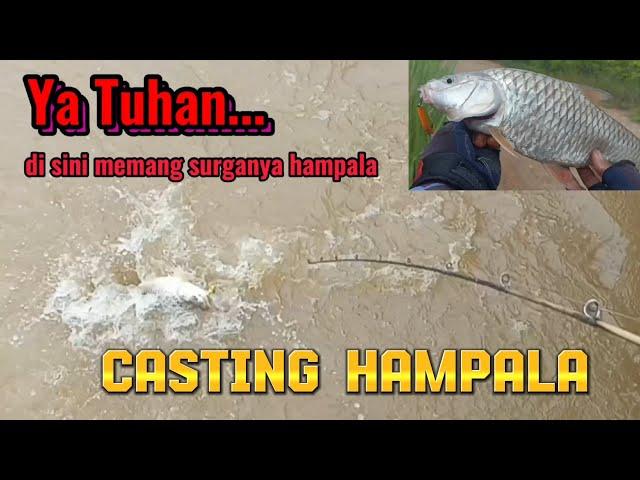 CASTING IKAN HAMPALA || di arus deras