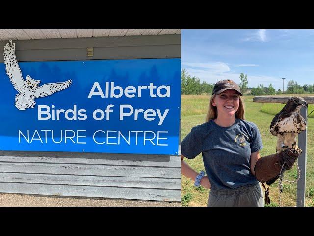 Alberta Birds of Prey Nature Centre