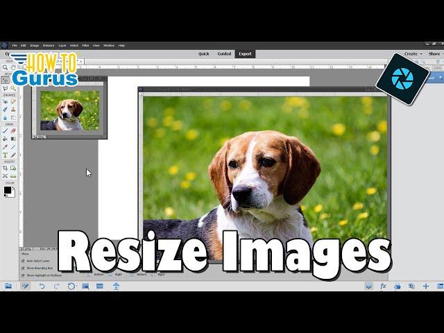 Resize Images the Right Way in Photoshop Elements